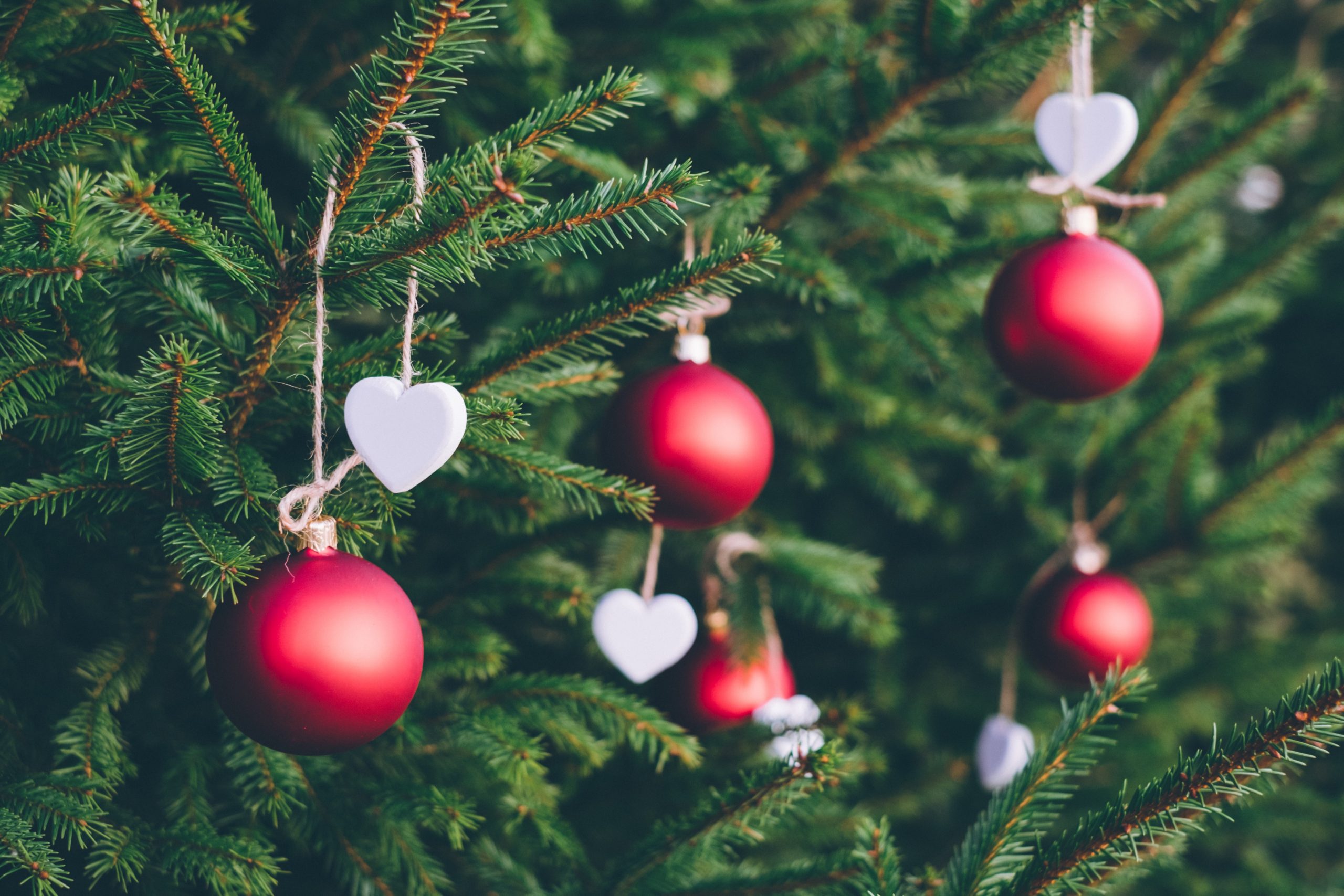 Weihnachtskonzert des Universitätschores